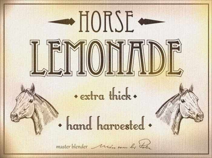 horse lemonade.jpg (112 KB)